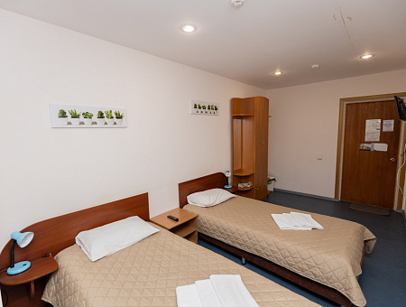 Эконом 2х-местный